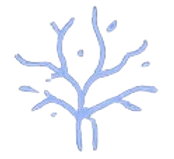 | Dermionic Technologies