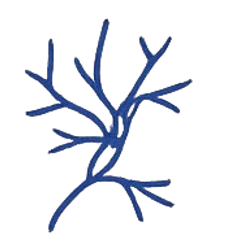 Vascular Lesions Icon | Dermionic Technologies