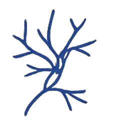 Vascular Lesions Icon | Dermionic Technologies Pakistan